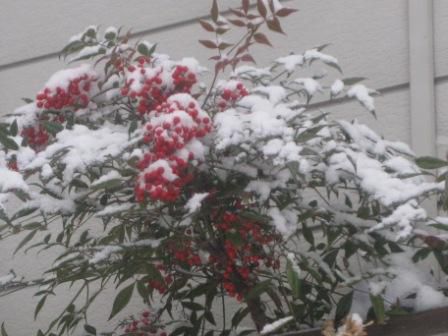 冬の過ごし方は…