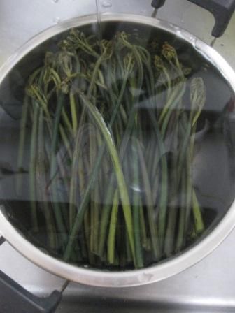 雪国だからねぇ