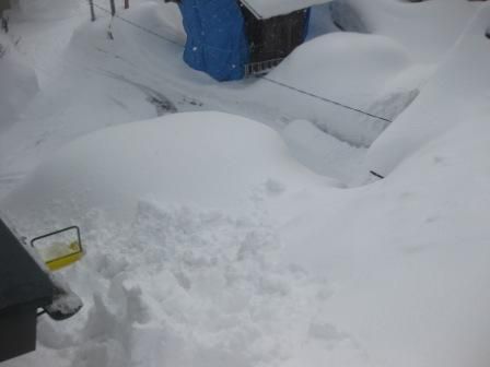 雪片づけの日曜日