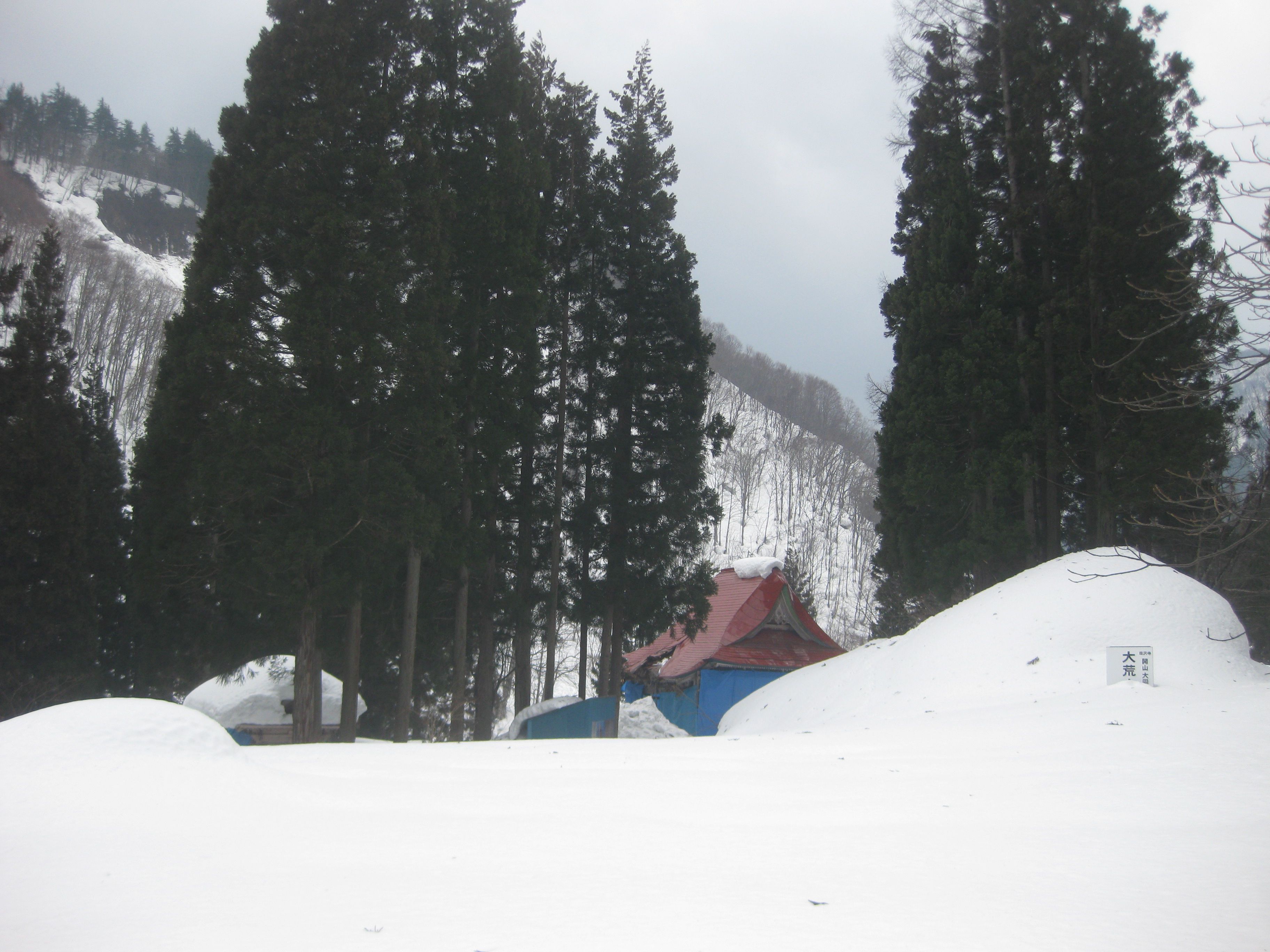 未明から・・・