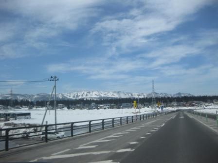 春っぽい空の下で