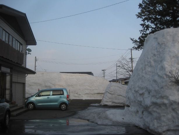 消えてってますね