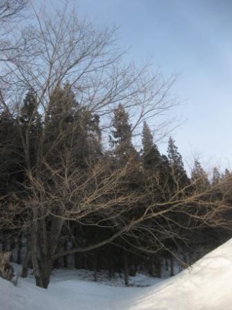 もう、歩いてるし♪