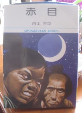 (223)『赤目』