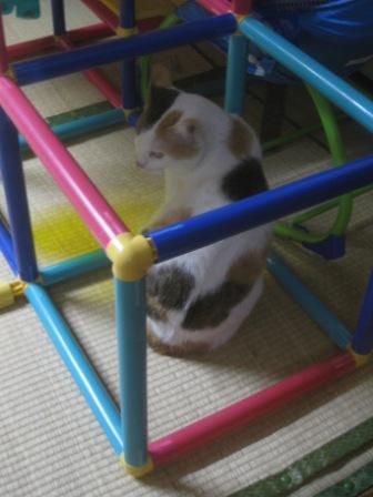 のんびり過ごす日