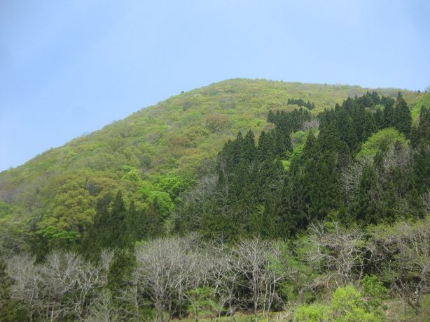 追いつかないなぁ