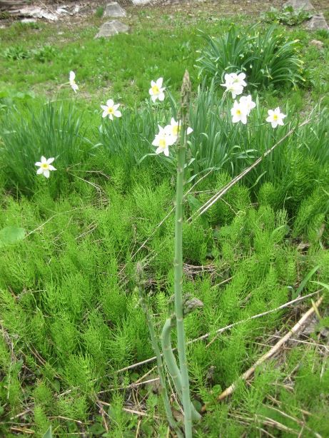 派手さはなくても