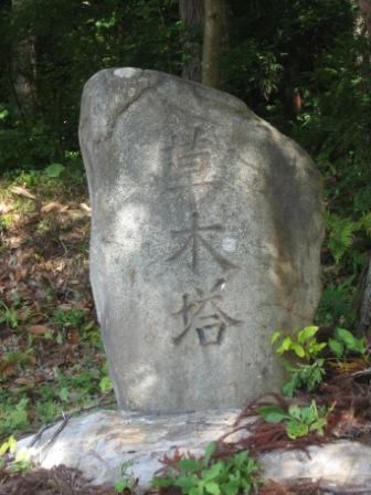 ３２　飯豊町宇津沢の草木塔