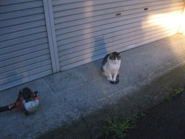 たたずんで・・・