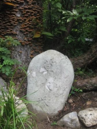 （３５）川西町玉庭　御伊勢町の草木塔