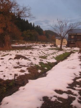 暖かさが恋しいね