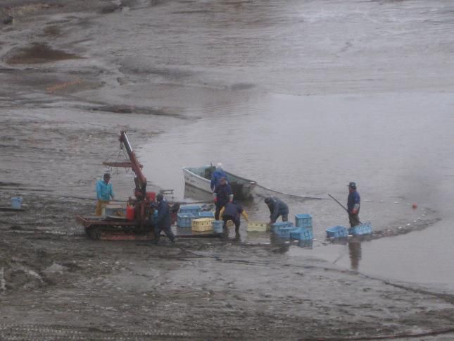 変わりやすいお天気であります