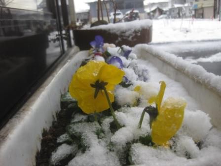 今年最後の登拝