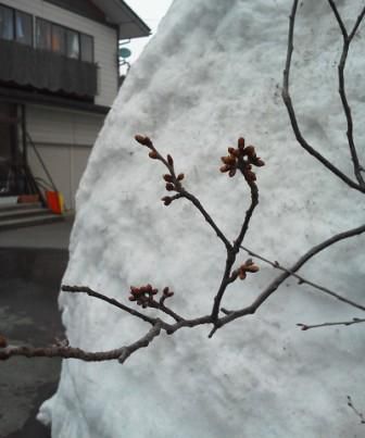 なごり雪と記念日