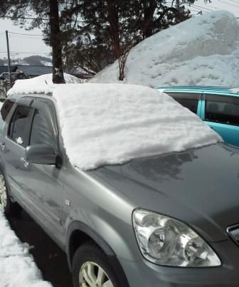 重たい雪　冷たい風