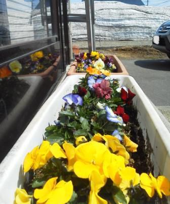 ほわっとした日