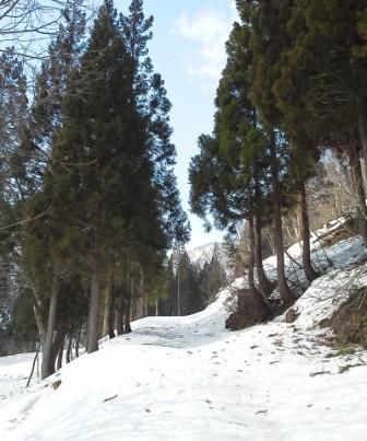 誕生日は・・・