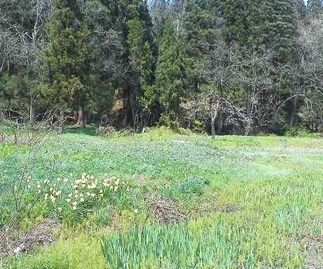 きりかえて・・・