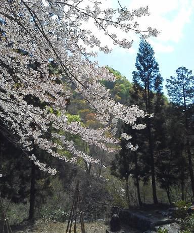 穏やかな日和の中