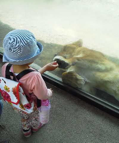 初めての動物園