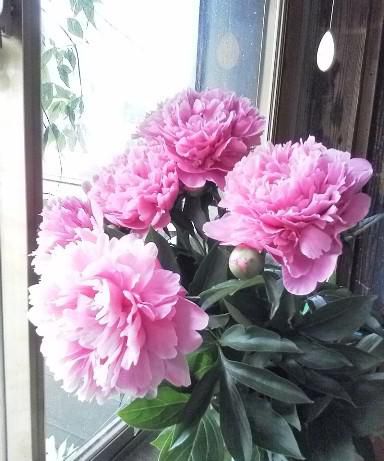 身体のことや道具のことやら