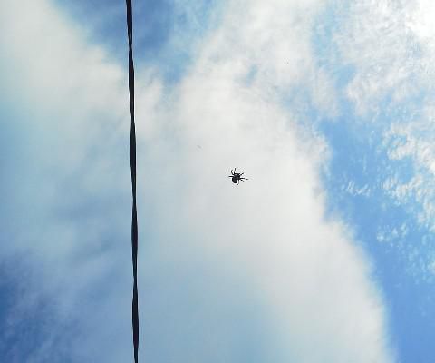 災害・・・祈り・・・