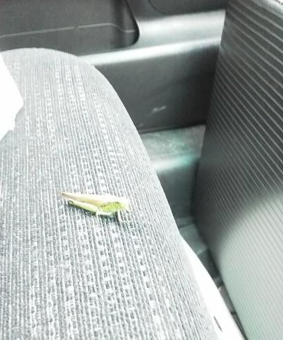 しみじみ　嬉し　楽し