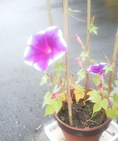 名残惜しいのですが