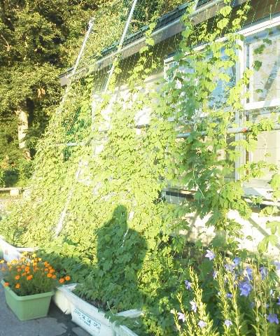 今年も何とか終えました