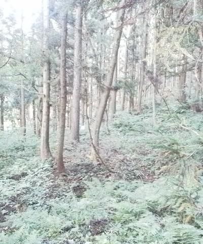 そして早朝から