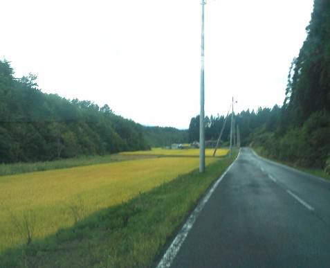 ニュースです！