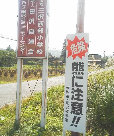 人里に近づくけものたち