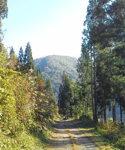 土・日　ちょっこら繁忙なり