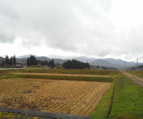 申し訳なかったけれども