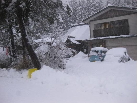 今シーズン初除雪