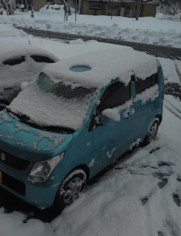 気長につきあいます・・・