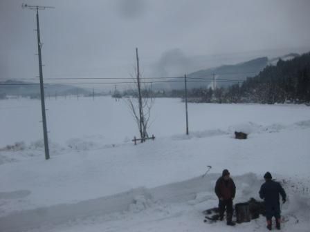 とうとう今頃になりましたが