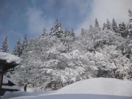 雪のやり場が・・・