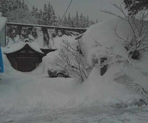 なごり雪・・・にしては降りすぎ。。。