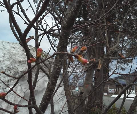 マイナスになってしまった日・・・