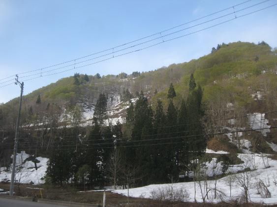 春の光の中で・・・