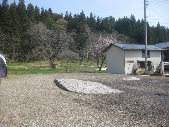 五月なんだけどね　暑いなぁ