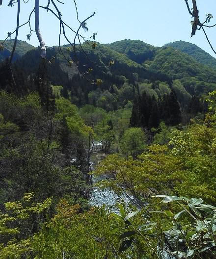 なんということ・・・