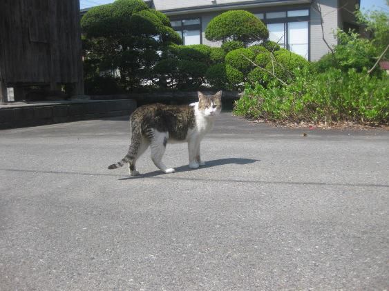 思いだしながら・・・