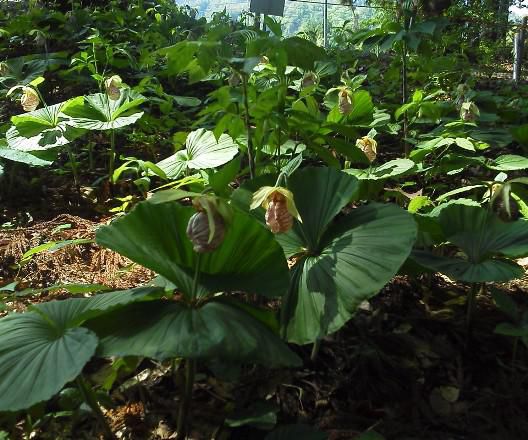 その場に立ってみる