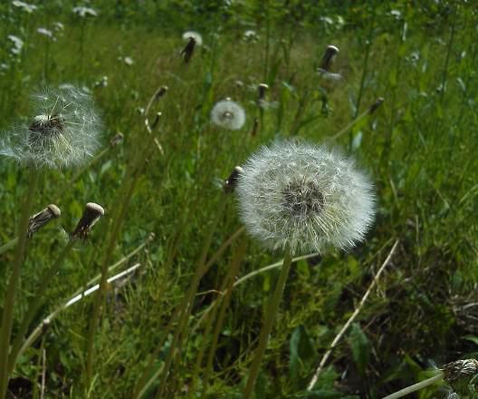 いよいよ月替わり