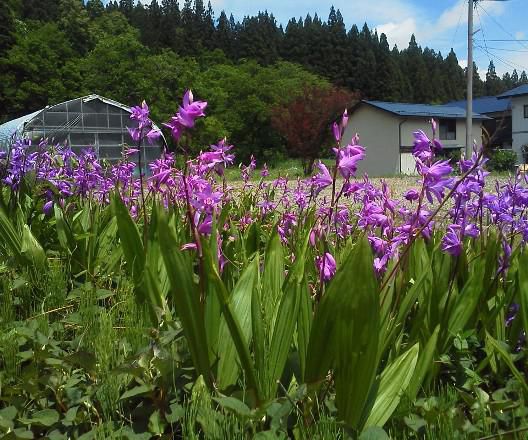 できるだけ　できることを