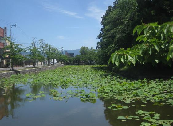 余裕があるような　ないような
