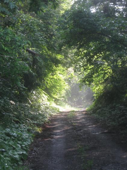 もりだくさんな一日