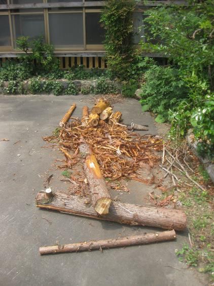 ワークショップ